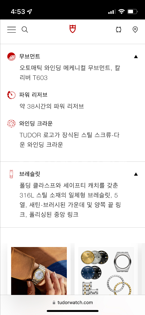 튜더 로얄 청판 시계--5