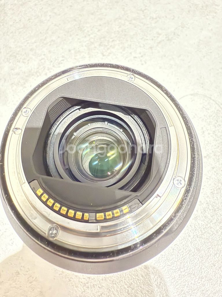 RF 24-105 L F4--1