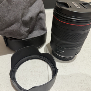 RF 24-105 L F4