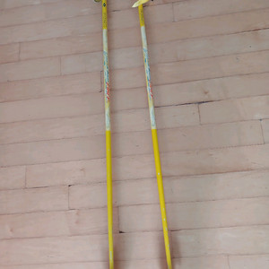 등산스틱