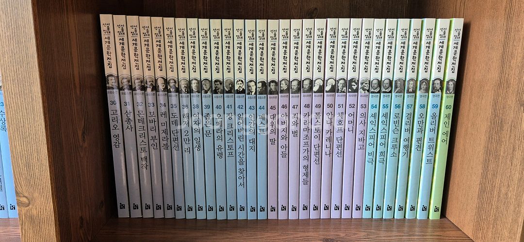 서울대선정 세계문학전집--1