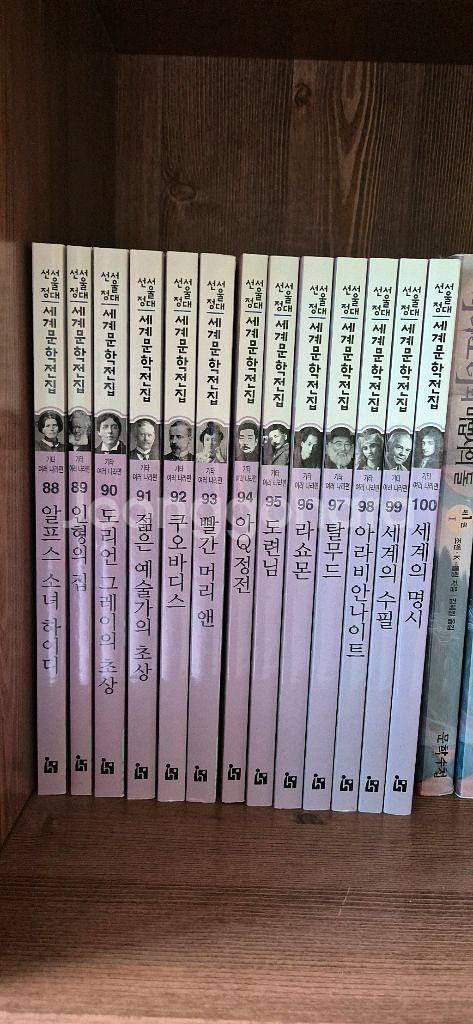 서울대선정 세계문학전집--3