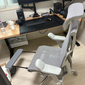 에르고휴먼 p2 사무용의자 직구판