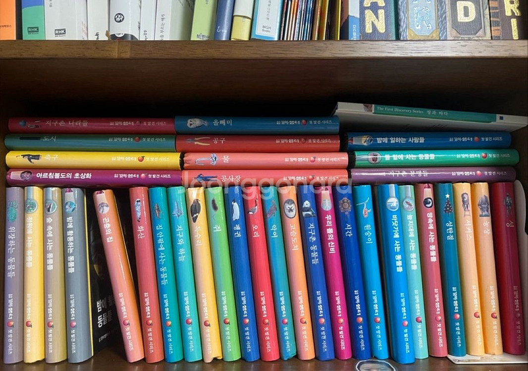 [유아 백과사전] 첫 발견 시리즈--2