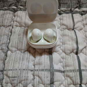 버즈2