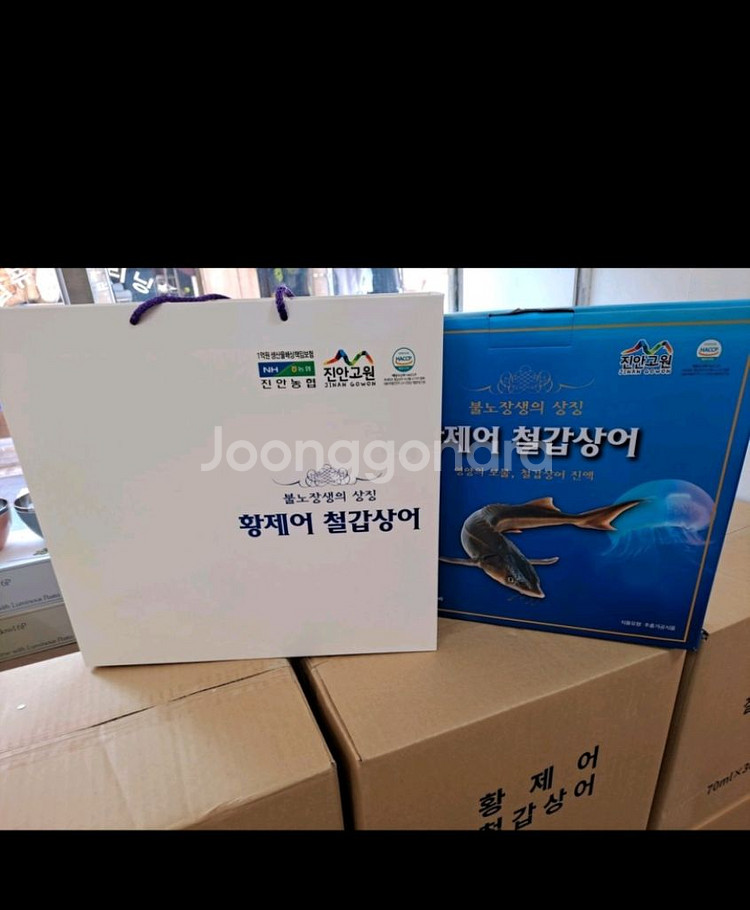 철갑상어 팔아요--0