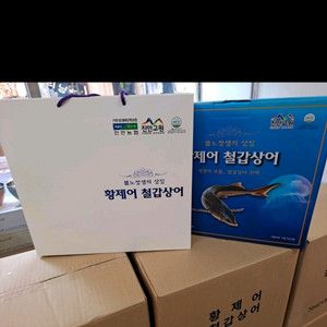 철갑상어 팔아요