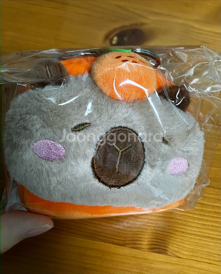 카피바라 키링 동전지갑 인형 파우치 미개봉 새상품--0