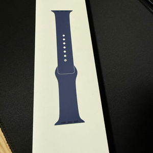애플워치10 정품 스트랩 파랑 46mm S/M 사이즈