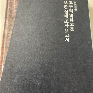 고구려벽화고분 버전실태조사보고서
