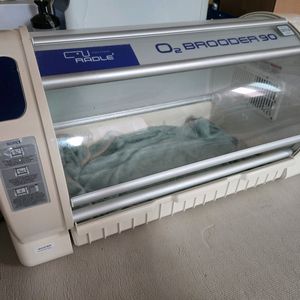큐레이들 산소방 오투 브루더 90