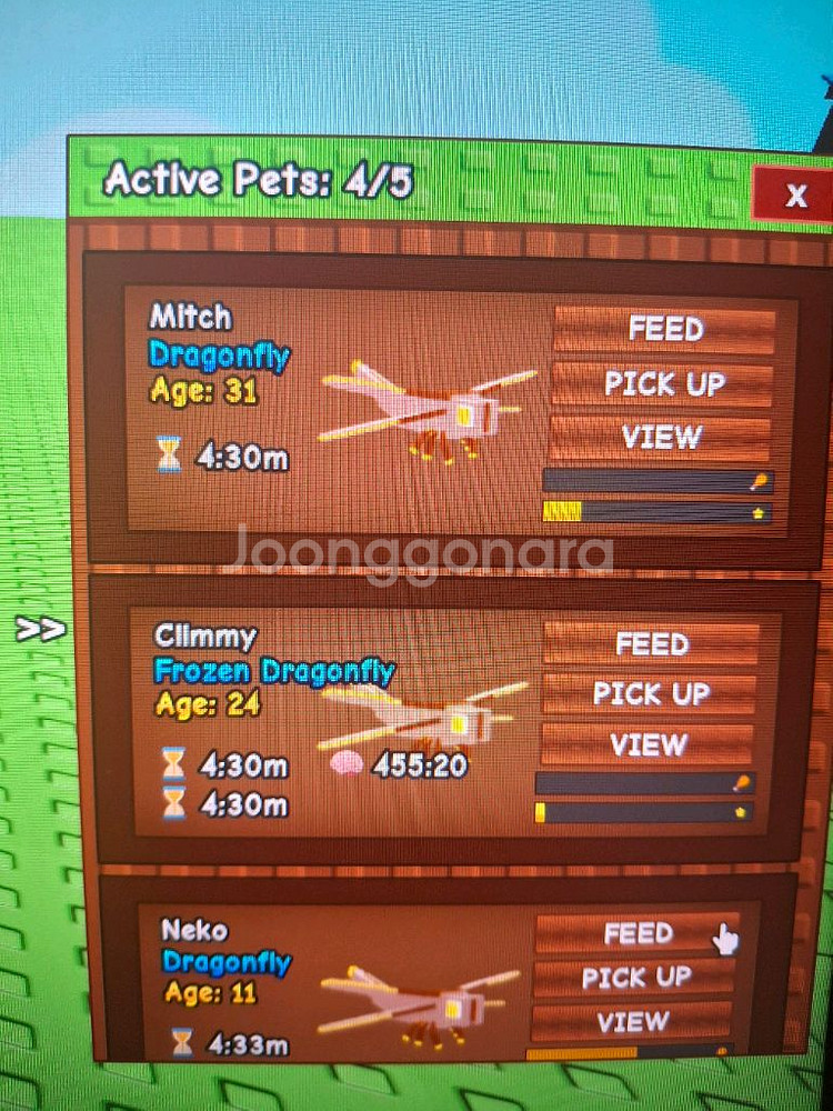 그로우 어 가든 잠자리--0