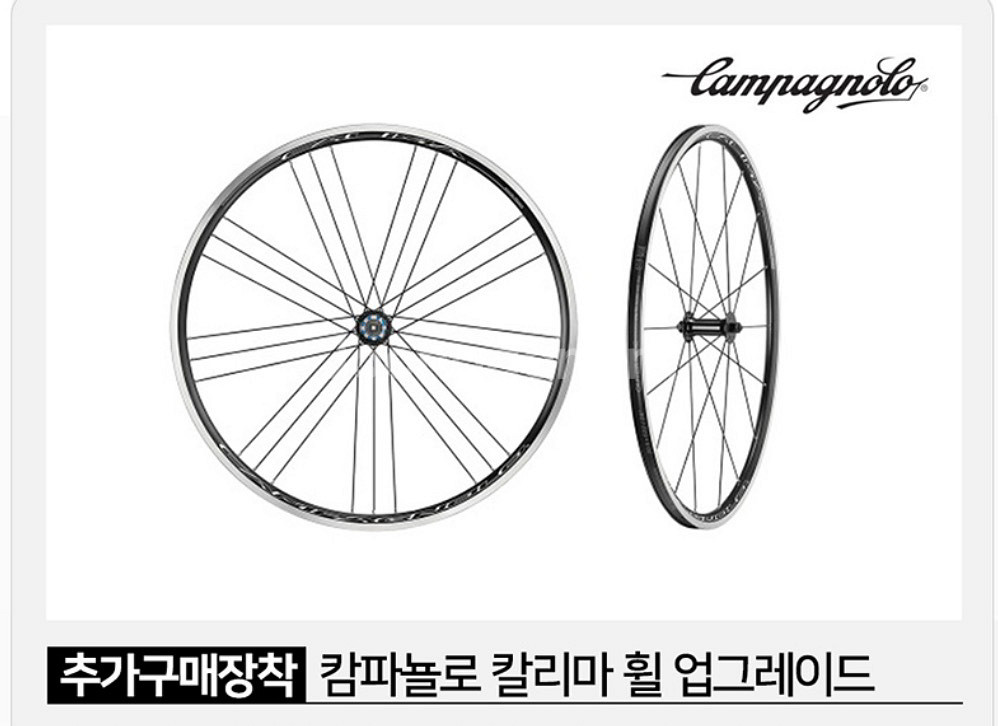 비앙키 스프린트--1
