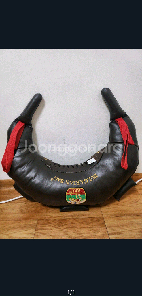 수플렉스 불가리안백 12kg 팝니다.--0