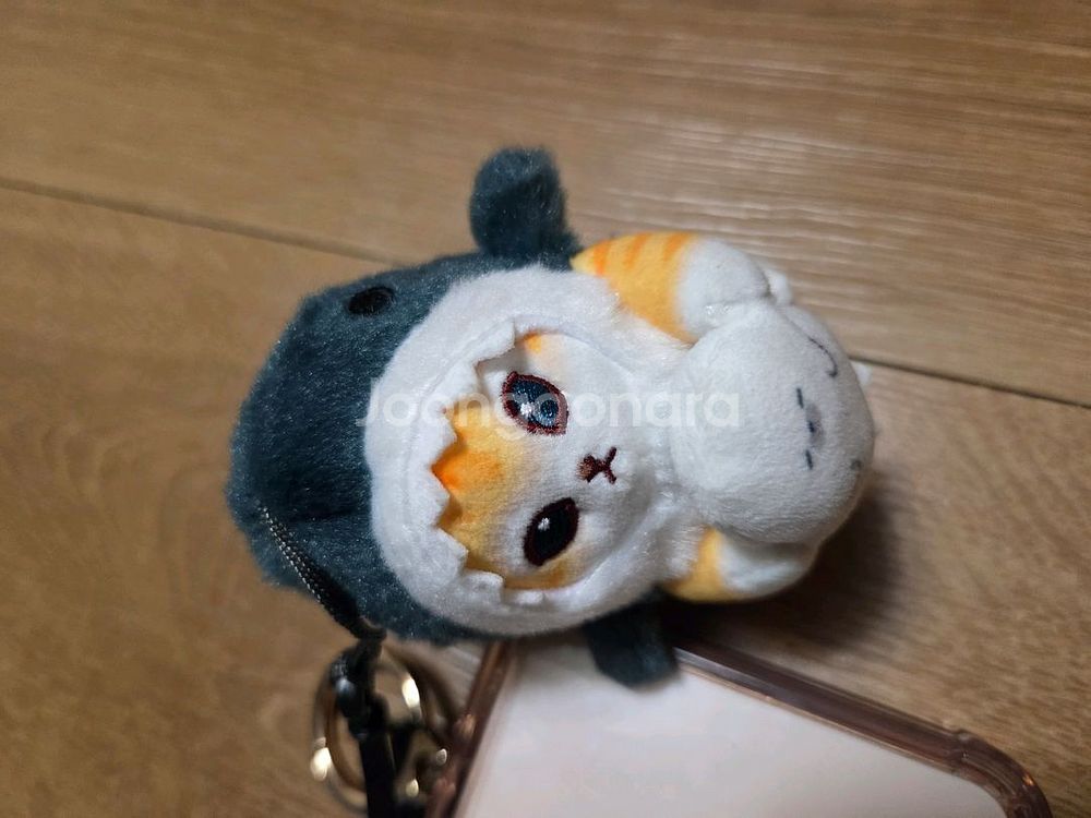 인형키링 상어옷입은고양이키링--0