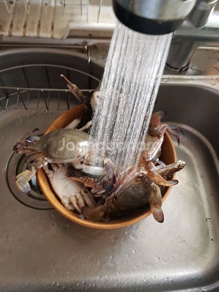 양념게장 2kg--1