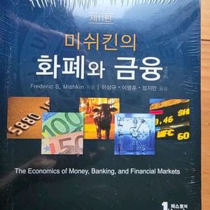 미쉬칸의 화폐와 금융