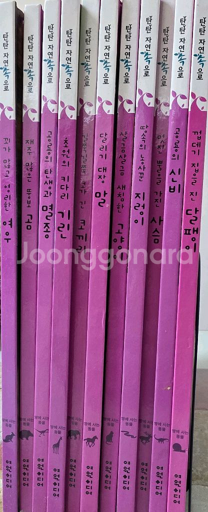 탄탄 자연속으로--1