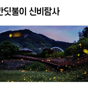 무주 반딧불축제 반딧불 신비탐사 7일 오늘 4장