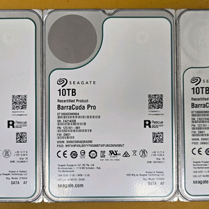 Seagate 바라쿠다 Pro 10TB HDD