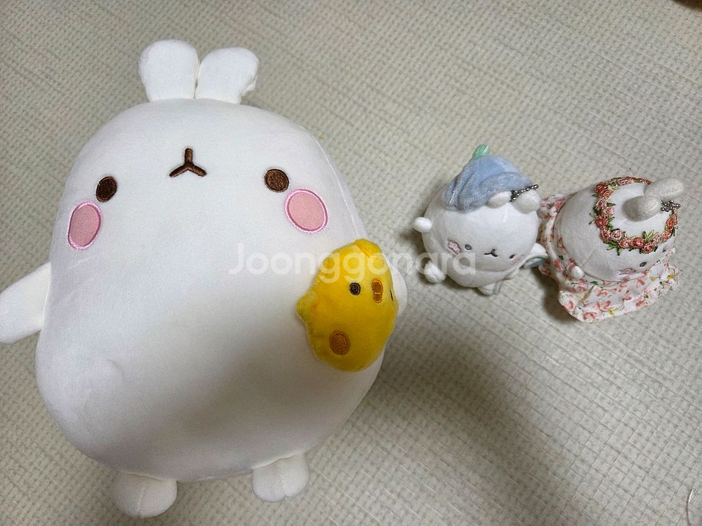 몰랑이 인형 열쇠고리 키링 일괄--0