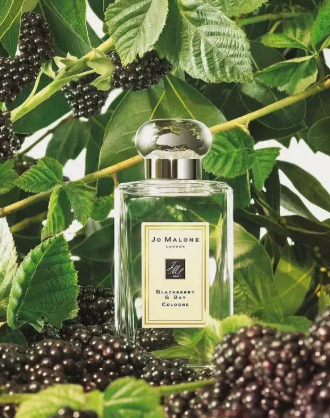 조말론 블랙베리 엔베이 코롱 100ML 인생첫향수라면--1
