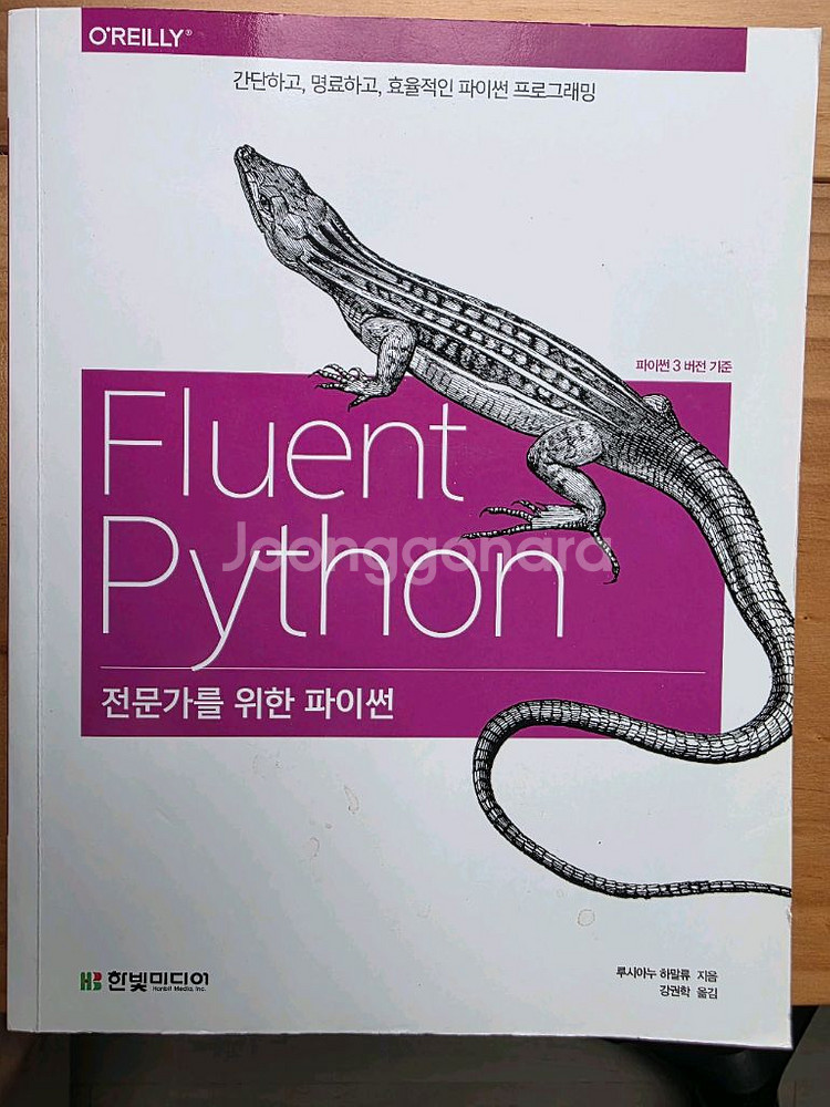 전문가를 위한 파이션--0
