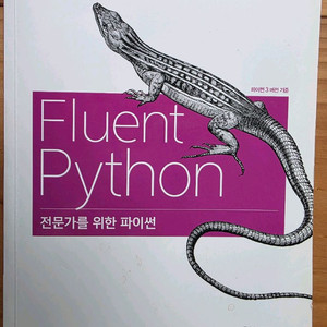 전문가를 위한 파이션