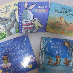 사파리 잠자리 도서 그림책 5권 일괄