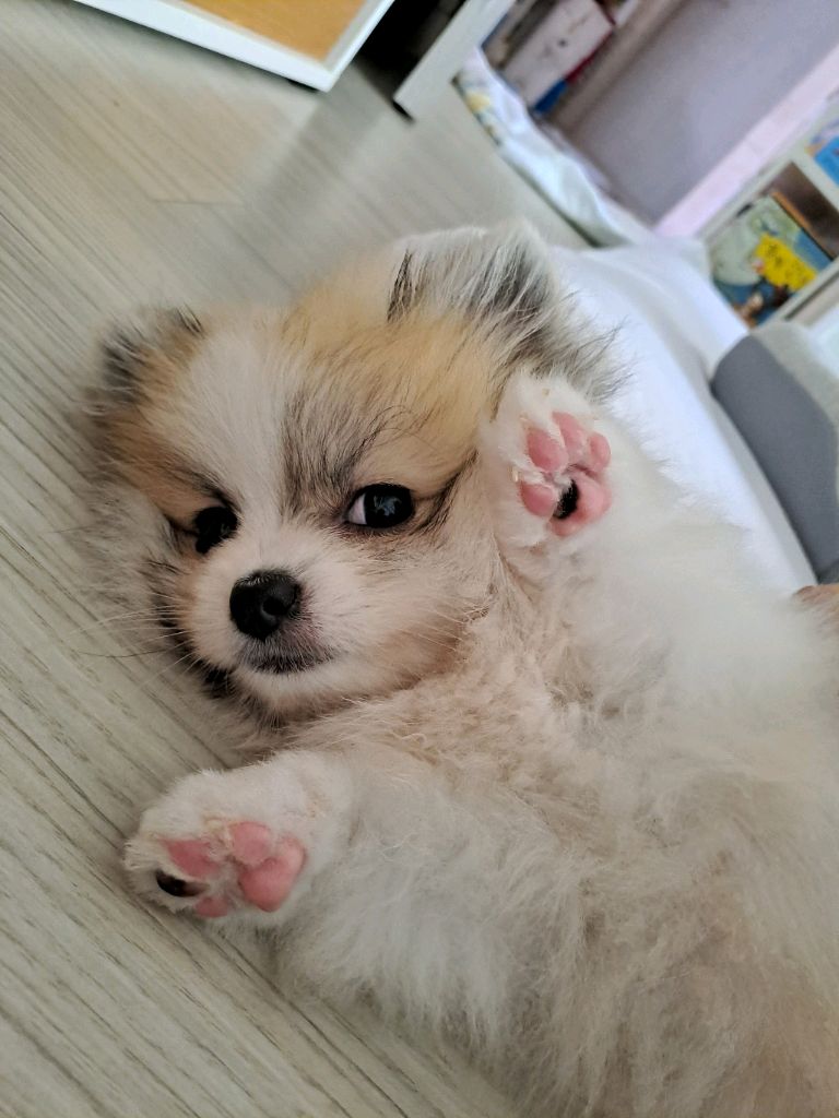 프로필 이미지
