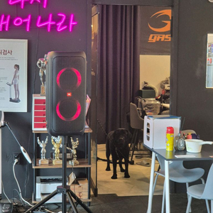 JBL파티박스 310 스피커 팝니다
