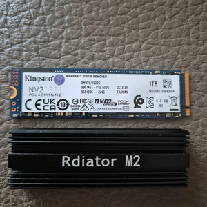 nvme ssd 1tb gen4 kingston NV2