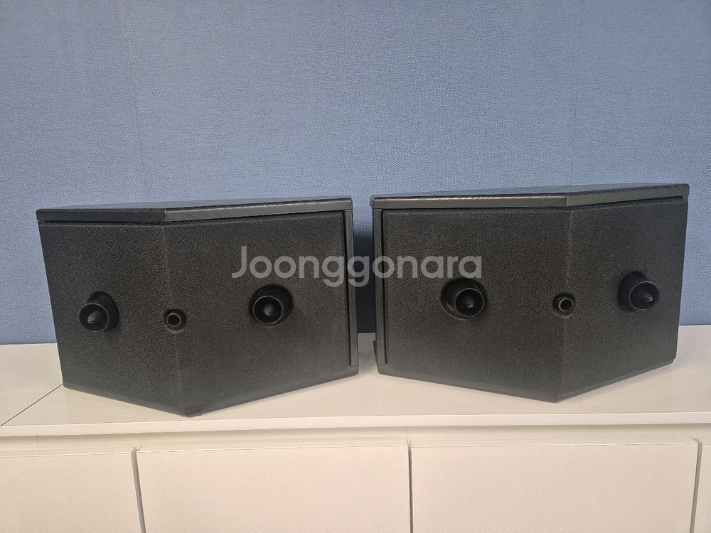 Bose 901 Series VI 스피커--4