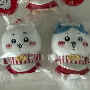 치이카와레스토랑 치이카와, 하치와레 마스코트