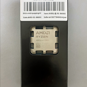 AMD Ryzen 5 9600X