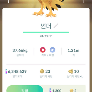 포켓몬고 포고 이로치 가라르 썬더 팝니딘.
