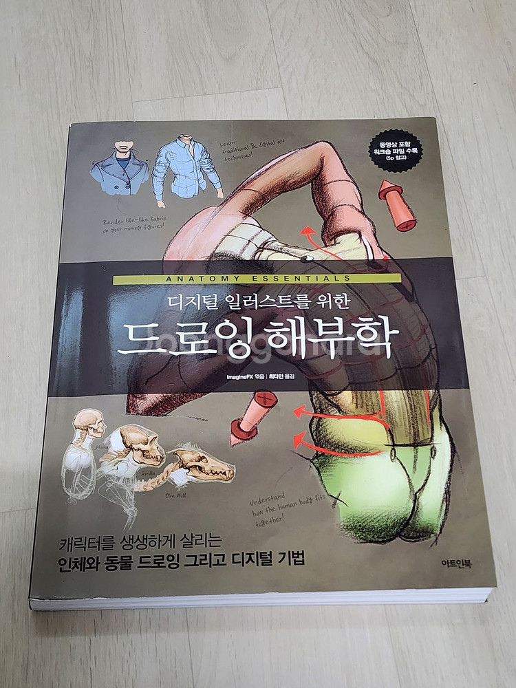 드로잉 해부학 판매--0
