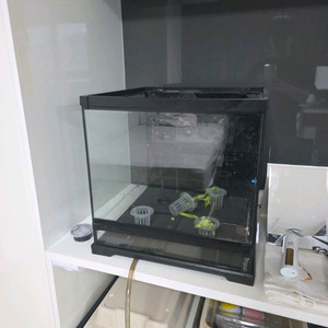 엑소테라 40cm큐브 판매해요