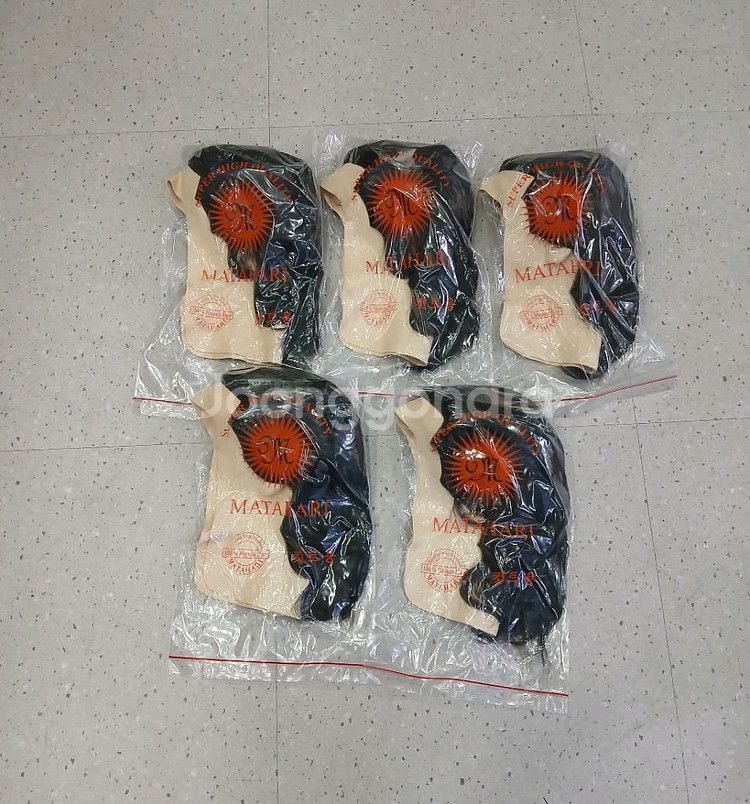 (10월할인) 마타하리 덧가발 통가발 시험용--0