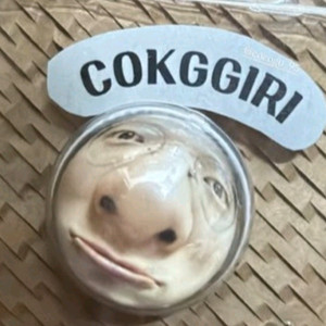 콕끼리 굿즈 삽니다