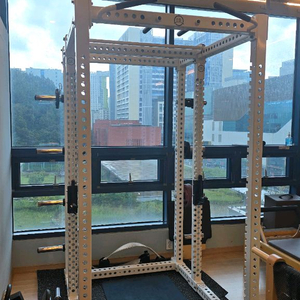 아이언렉스 파워렉 상태 A급 상태 급처분