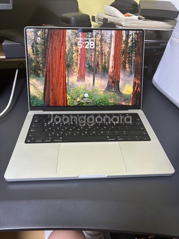 맥북프로 m4pro 실버 14인치--1
