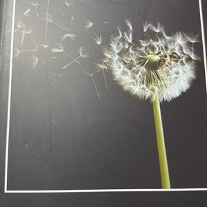 대성 박선우 다짐SEED