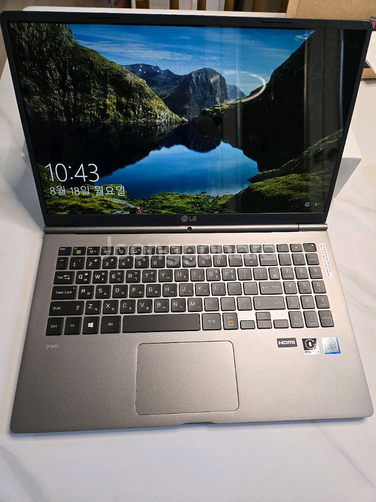 lg 2017 그램 15인치 15ZD970-GX5SK--0
