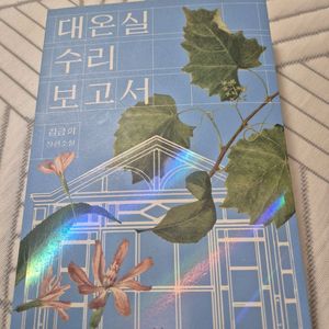 대온실수리보고서 김금희