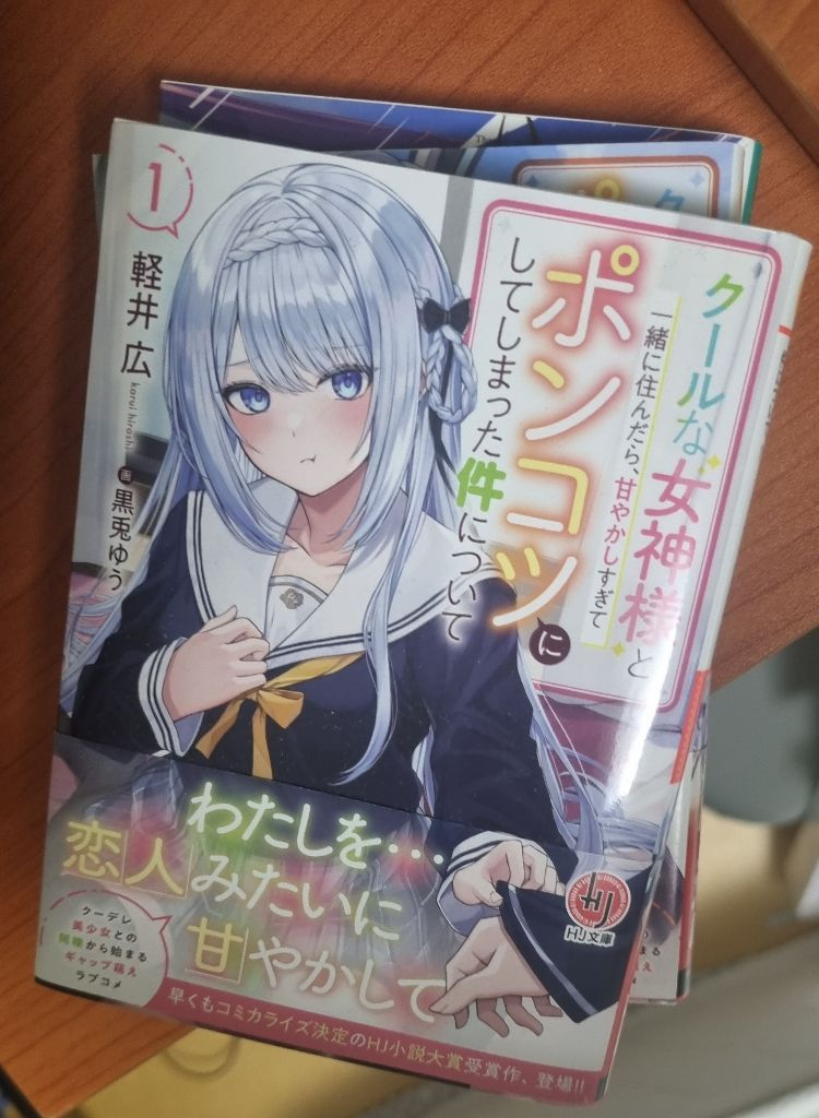 라노벨 일본원서--2