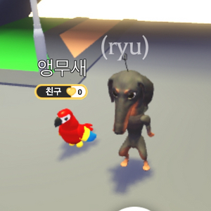 입양하세요 날타 어른 앵무새 급처
