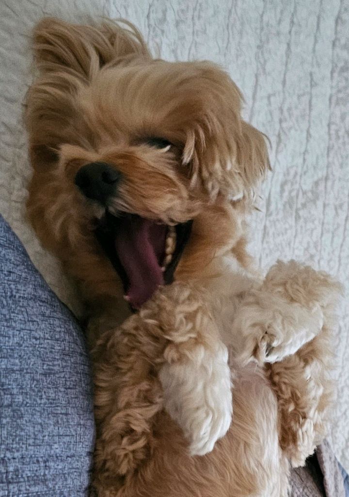프로필 이미지