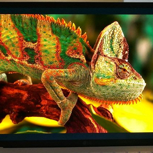 LG 13세대 그램 스타일16/램16G,OLED