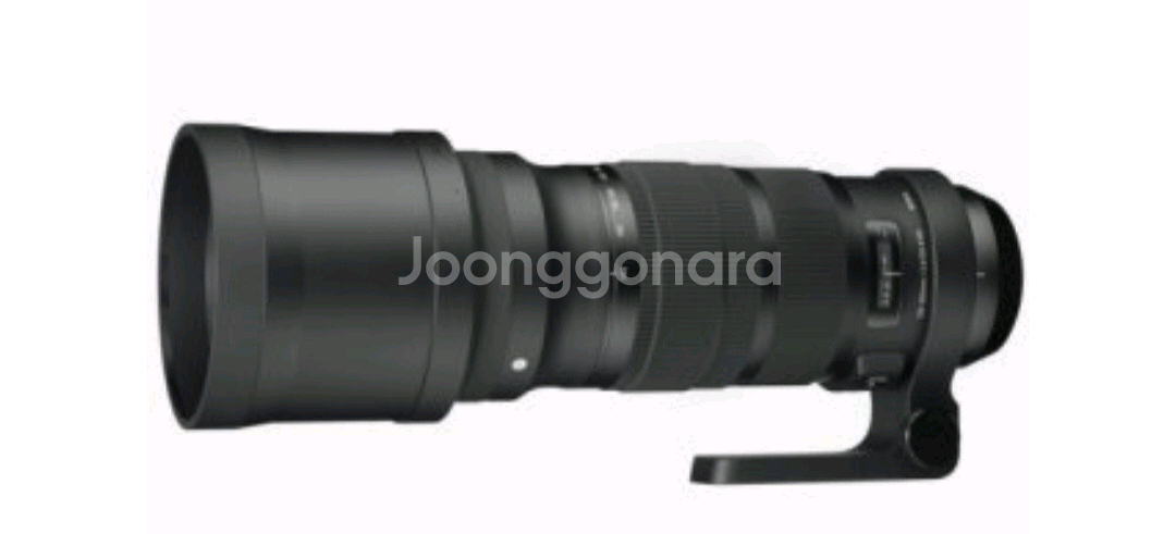 시그마120-300스포츠.캐논--0